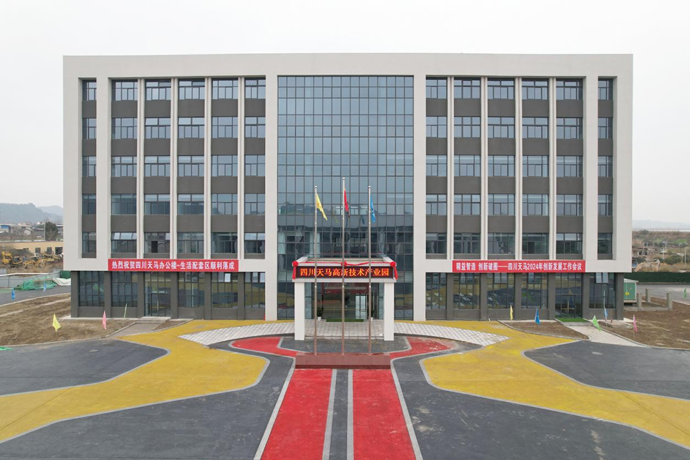 精益智造，创新破圈 | 四川天马2024年创新发展工作会议成功召开(图16)