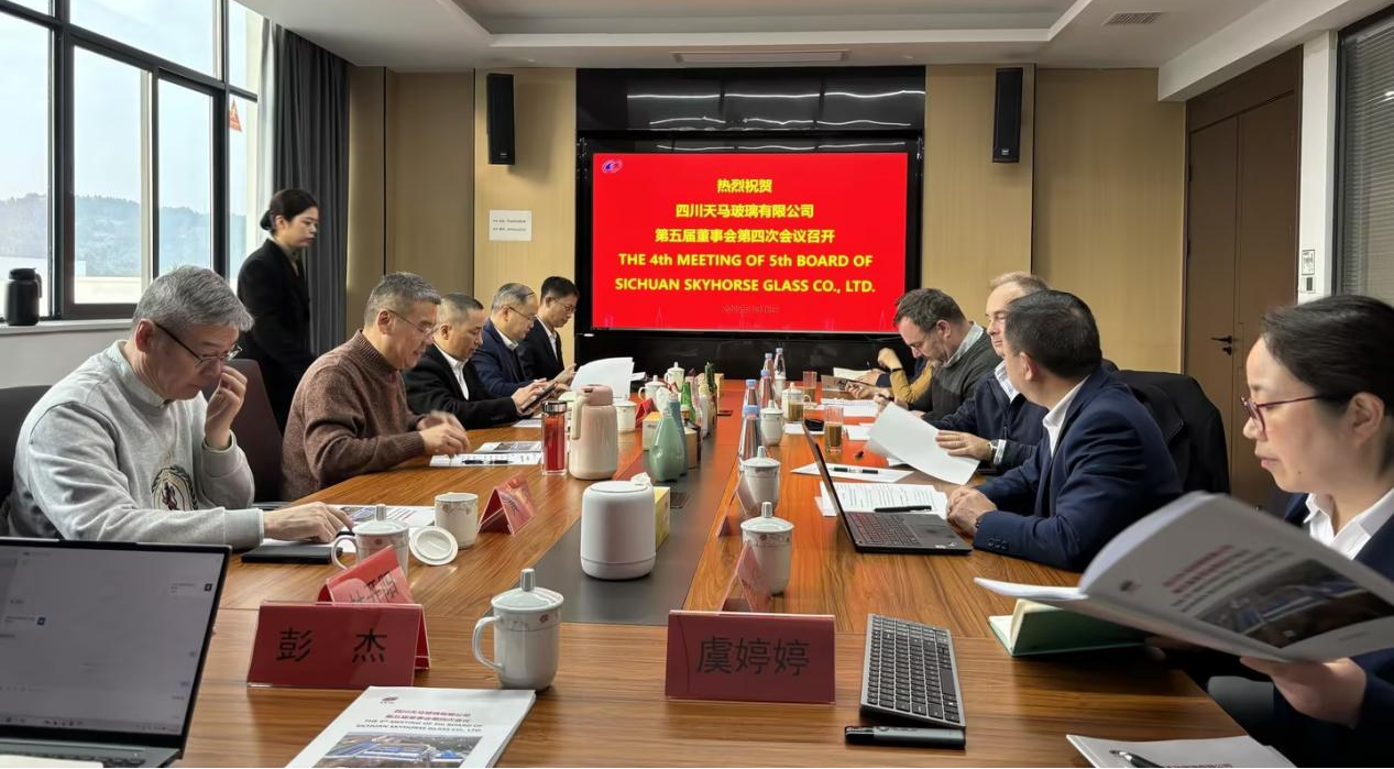 共创造，共美好 | 四川天马召开2025年度工作会议(图14)